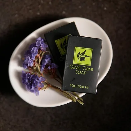 Jardin De Stelida Villa Stelida (Naxos)