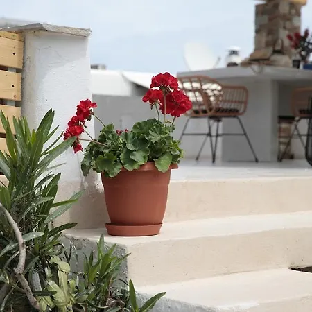 Jardin De Stelida