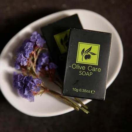 ヴィラ Jardin De Stelida *