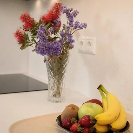 Jardin De Stelida * ステリダ