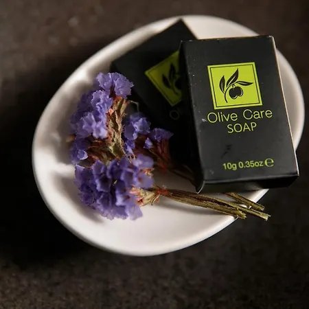 Jardin De Stelida * ステリダ